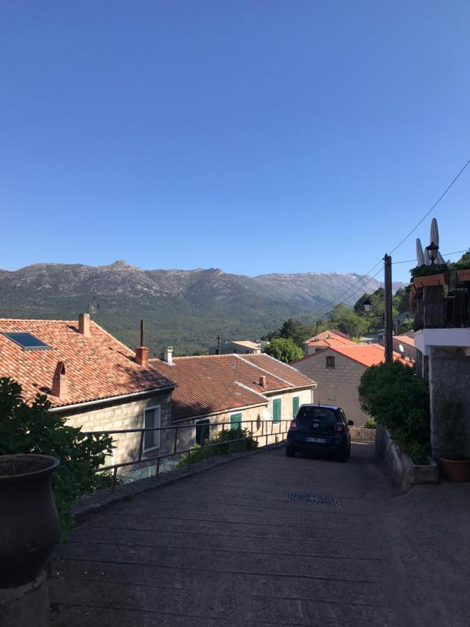 Hotel La Terrasse Zonza Kültér fotó
