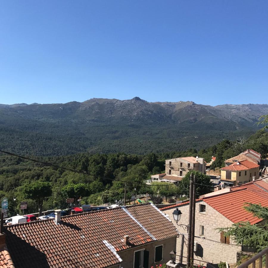 Hotel La Terrasse Zonza Kültér fotó